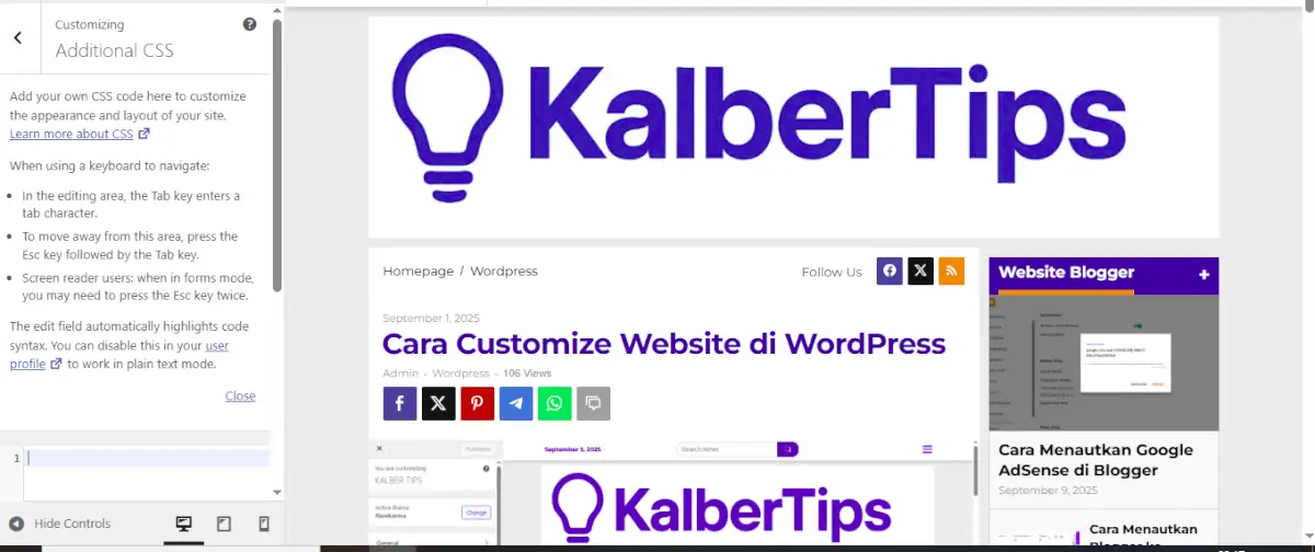 Tampilan additional css di customize